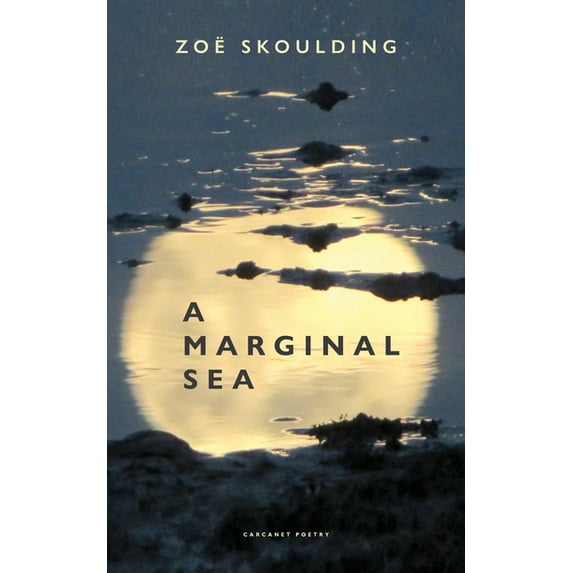 A Marginal Sea, (Paperback)