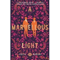 Pre-Owned A Marvellous Light (Paperback) 9781250831798
