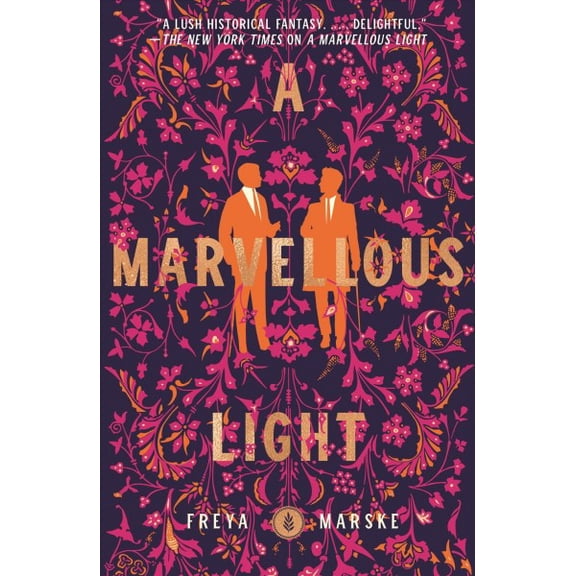 Pre-Owned A Marvellous Light (Paperback) 9781250831798