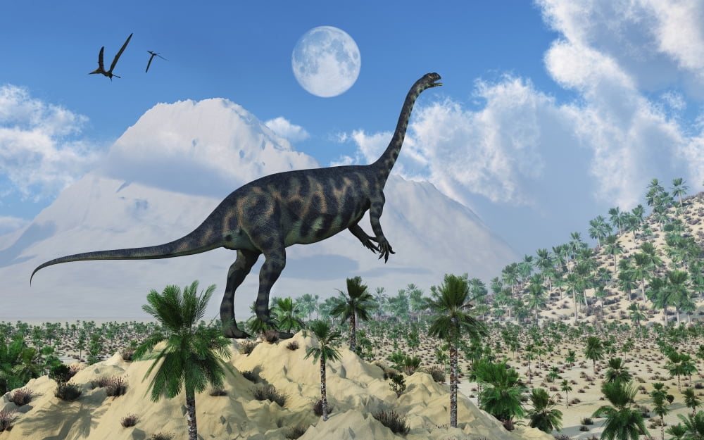 A Massospondylus dinosaur Canvas Art - Mark StevensonStocktrek Images (18 x 12)