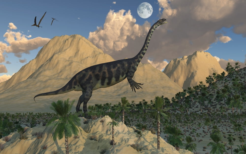 A Massospondylus dinosaur Canvas Art - Mark StevensonStocktrek Images (36 x 23)