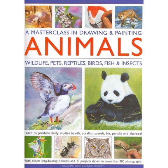 A Masterclass in Drawing and Painting Animals : Wildlife, pets, reptiles, birds, fish and insects (Hardcover)
