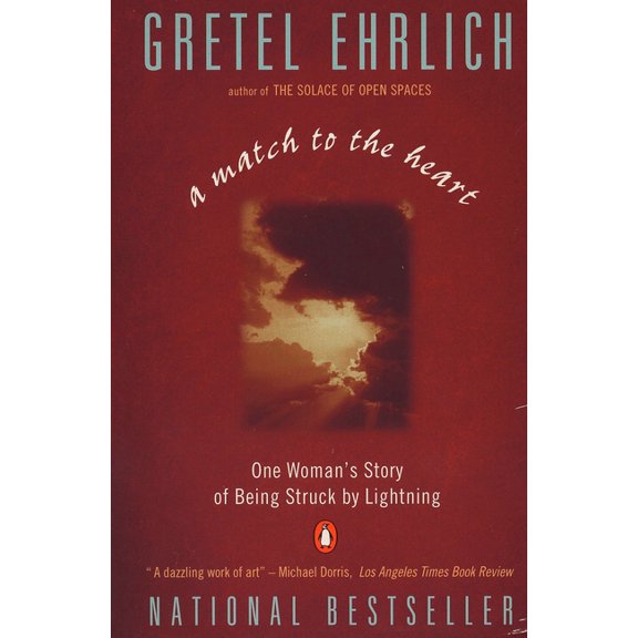 A Match to the Heart: One Woman's Story of Being Struck by Lightning, (Paperback)