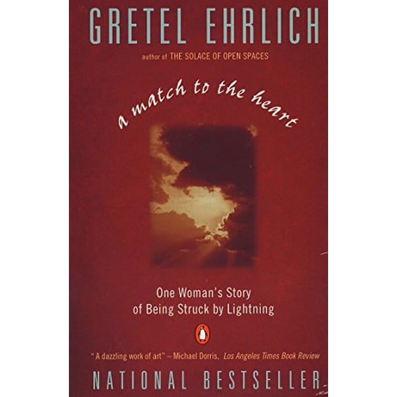 Pre-Owned A Match to the Heart: One Woman's Story of Being Struck by Lightning (Paperback) 0140179372 9780140179378