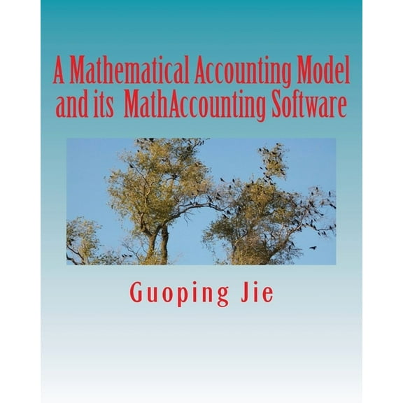 A mathematical accounting model and its MathAccounting software (Paperback)
