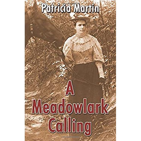 Pre-Owned A Meadowlark Calling (Paperback) 074141242X 9780741412423