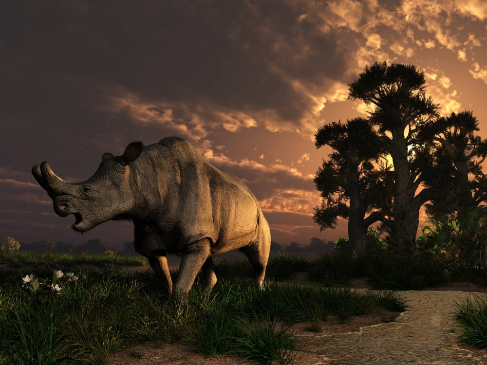 A Megacerops grazing a prehistoric landscape Canvas Art - Daniel EskridgeStocktrek Images (33 x 25)