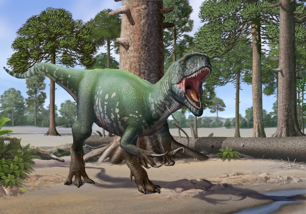 A Megaraptor lets out a vicious roar Canvas Art - Sergey KrasovskiyStocktrek Images (17 x 12)