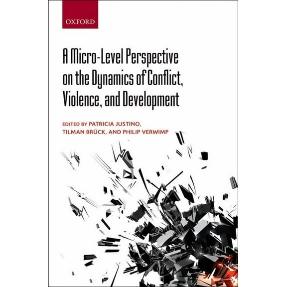 Micro-Level Perspective on the Dynamics of Conflict, Violence, and Development, (Hardcover)