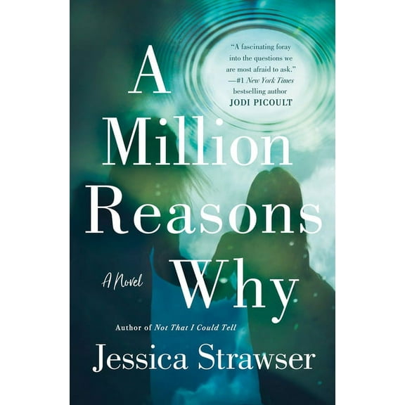 A Million Reasons Why : A Novel (Hardcover)
