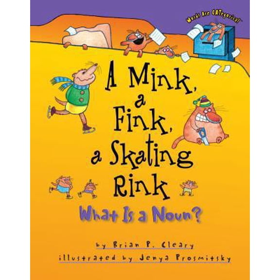 Pre-Owned A Mink, a Fink, a Skating Rink: What Is a Noun? (Hardcover) 1575054027 9781575054025