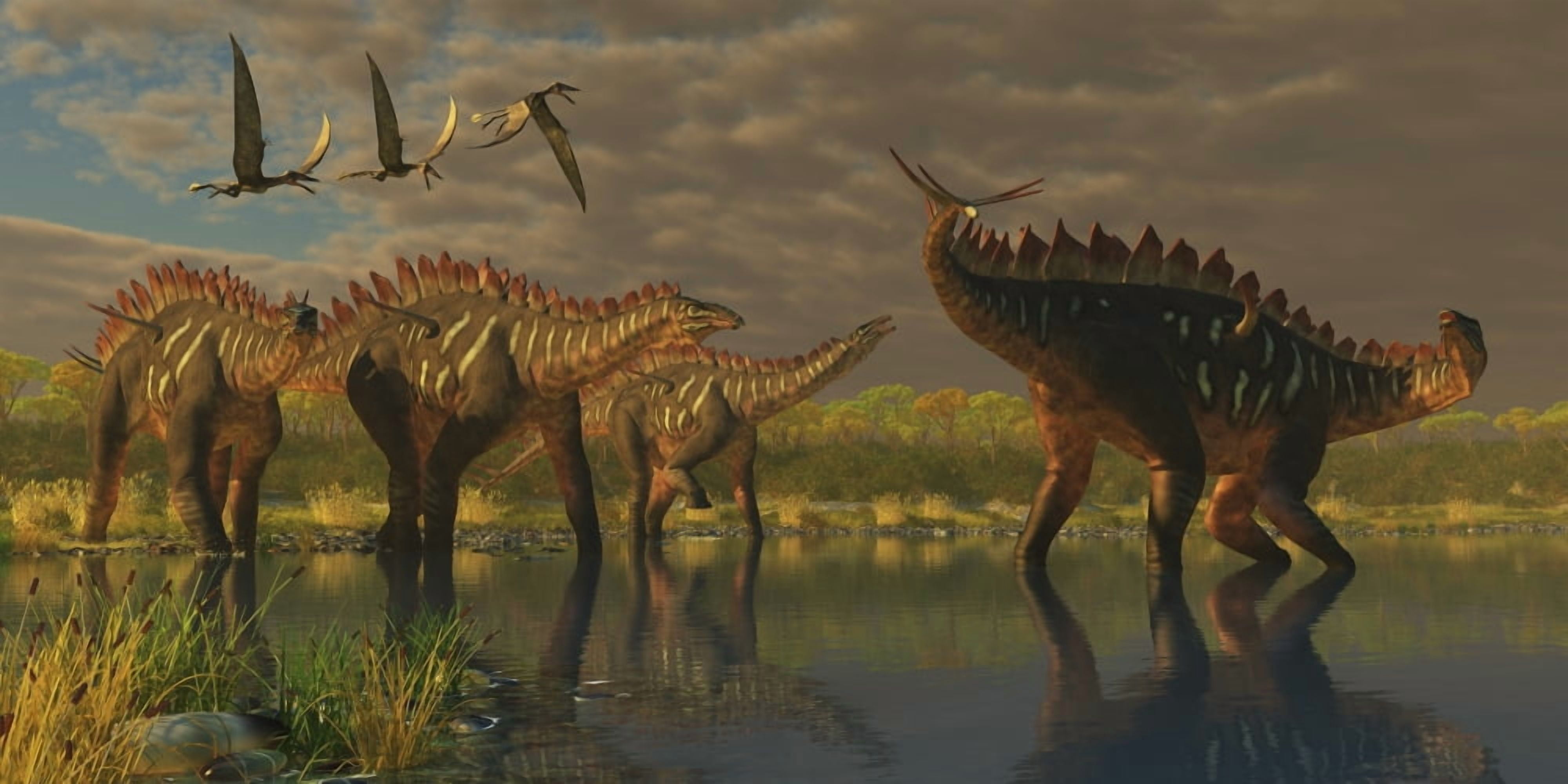 A Miragaia dinosaur bellows in protest as others try to join him in the marsh Canvas Art - Corey FordStocktrek Images (20 x 10)