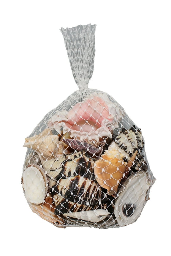A Mix Of Seashells In Assorted Sizes