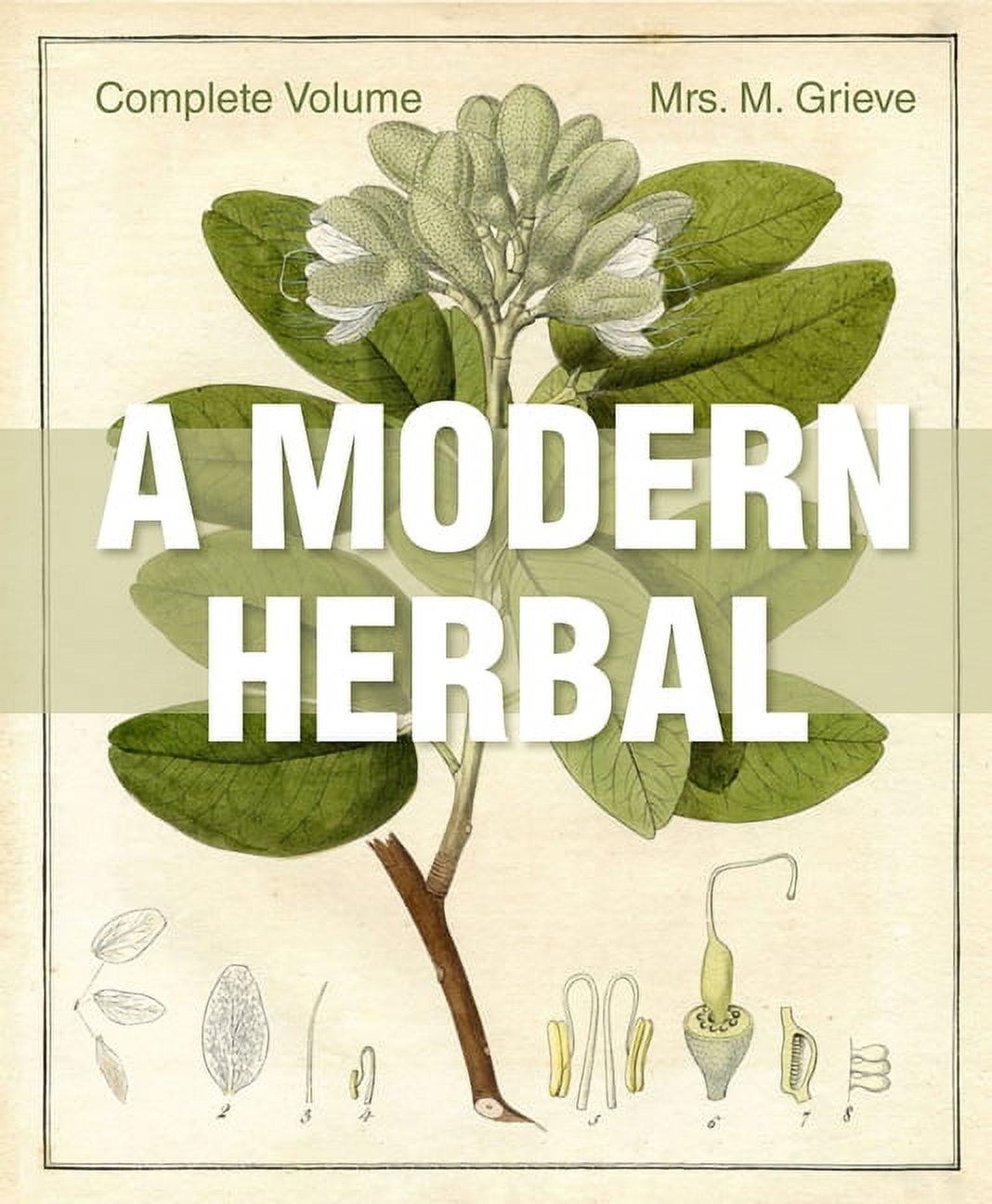 最終値下げ　A Modern Herbal 貴重なハーブの洋書 最終値下げ A Modern Herbal 貴重なハーブの洋書 A Modern