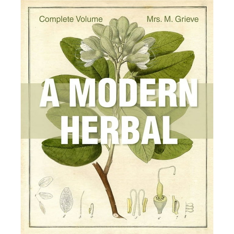 A Modern Herbal (Hardcover) - Walmart.com