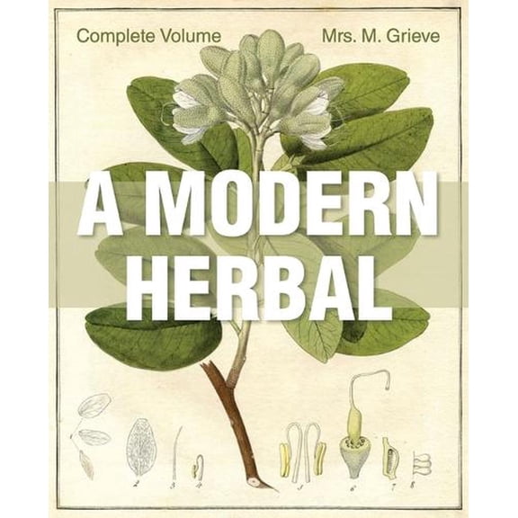A Modern Herbal: The Complete Edition (Paperback) by Margaret Grieve