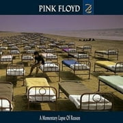 A Momentary Lapse Of Reason (CD)
