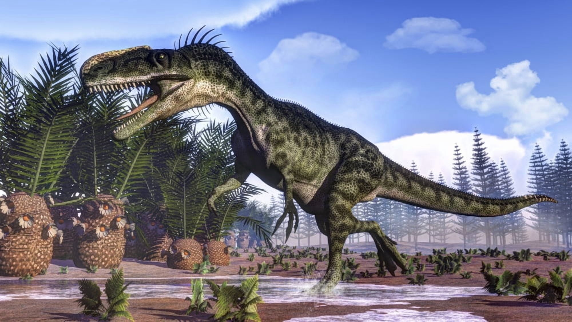 A Monolophosaurus dinosaur walking amongst cycas and calamites Canvas Art - Elena DuvernayStocktrek Images (38 x 22)
