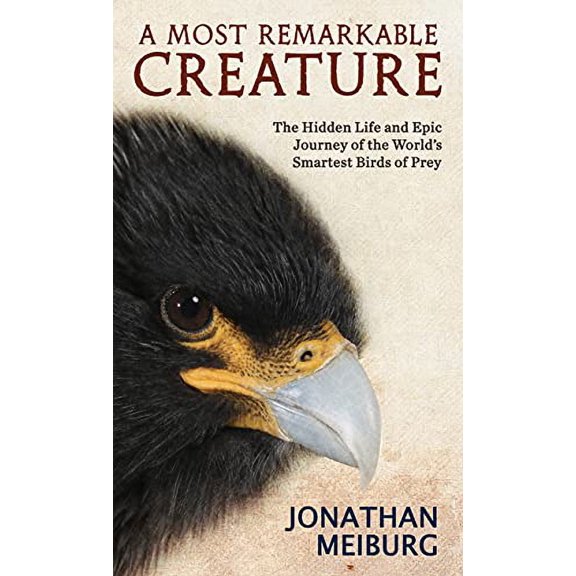 Pre-Owned A Most Remarkable Creature (Library Binding) 1432889761 9781432889760
