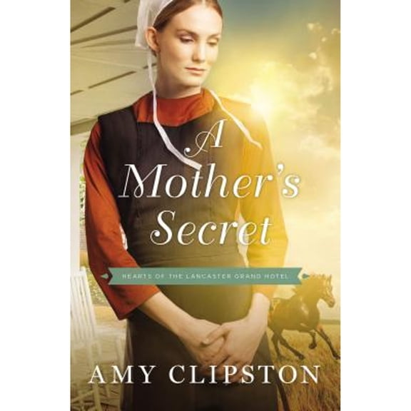 Pre-Owned A Mother's Secret (Paperback) 0310350727 9780310350729