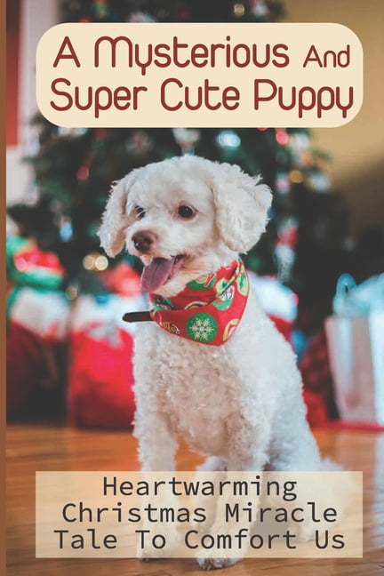 A Mysterious And Super Cute Puppy (Paperback)