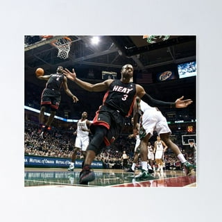 Lebron james dwyane wade poster best sale