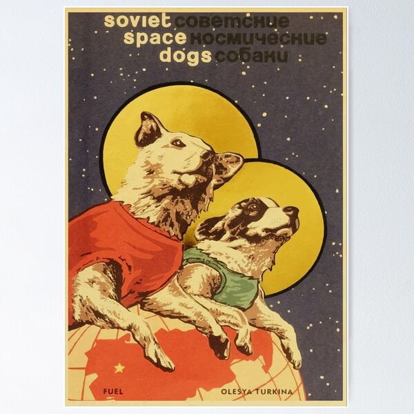 A NEW Vintage Russian Soviet Propaganda The Space Race Dogs Retro USSR ...