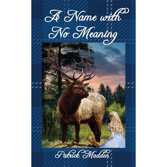 A Name with No Meaning, (Paperback)