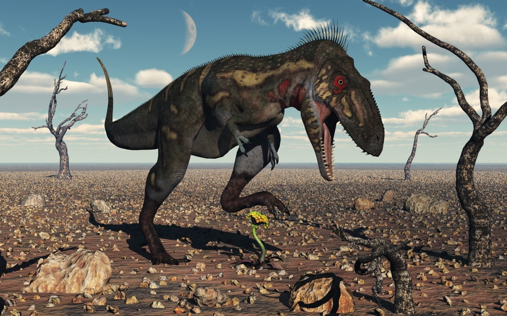 A Nanotyrannus crushes the last flower in a prehistoric landscape Canvas Art - Mark StevensonStocktrek Images (18 x 12)