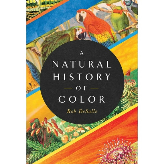 A Natural History of Color: The Science Behind What We See and How We See It, (Hardcover)