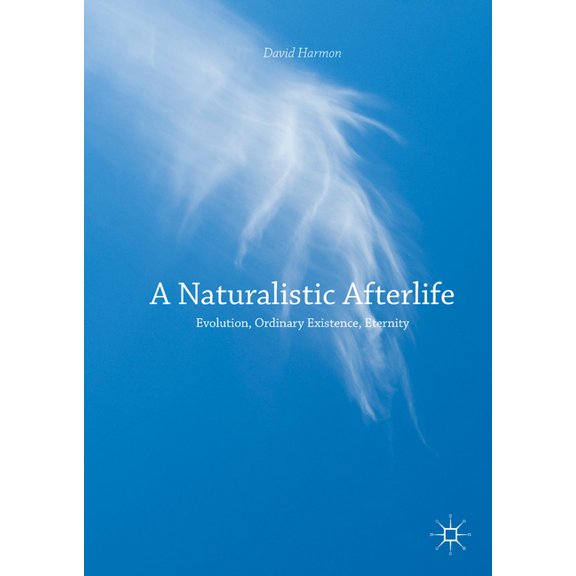A Naturalistic Afterlife: Evolution, Ordinary Existence, Eternity, (Hardcover)