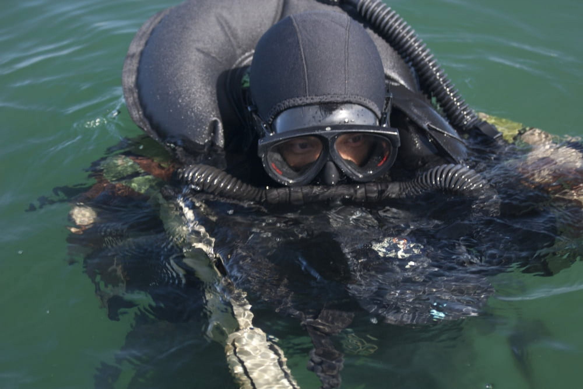 A Navy SEAL combat swimmer Canvas Art - Michael WoodStocktrek Images (35 x 23)