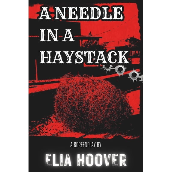 A Needle In A Haystack (Paperback)