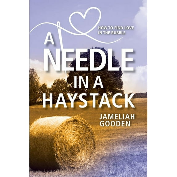 A Needle in a Haystack : How to Find Love in the Rubble (Paperback)
