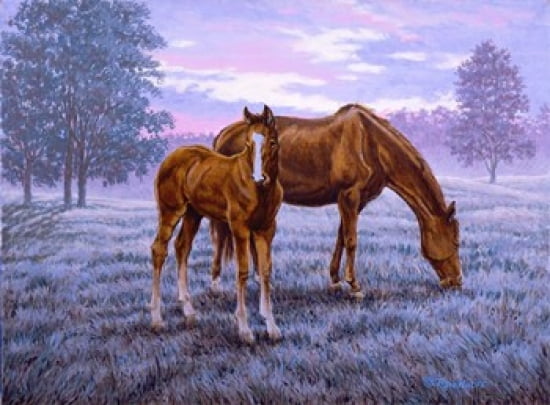 A New Day Begins Canvas Art - Richard De Wolfe (29 x 22)