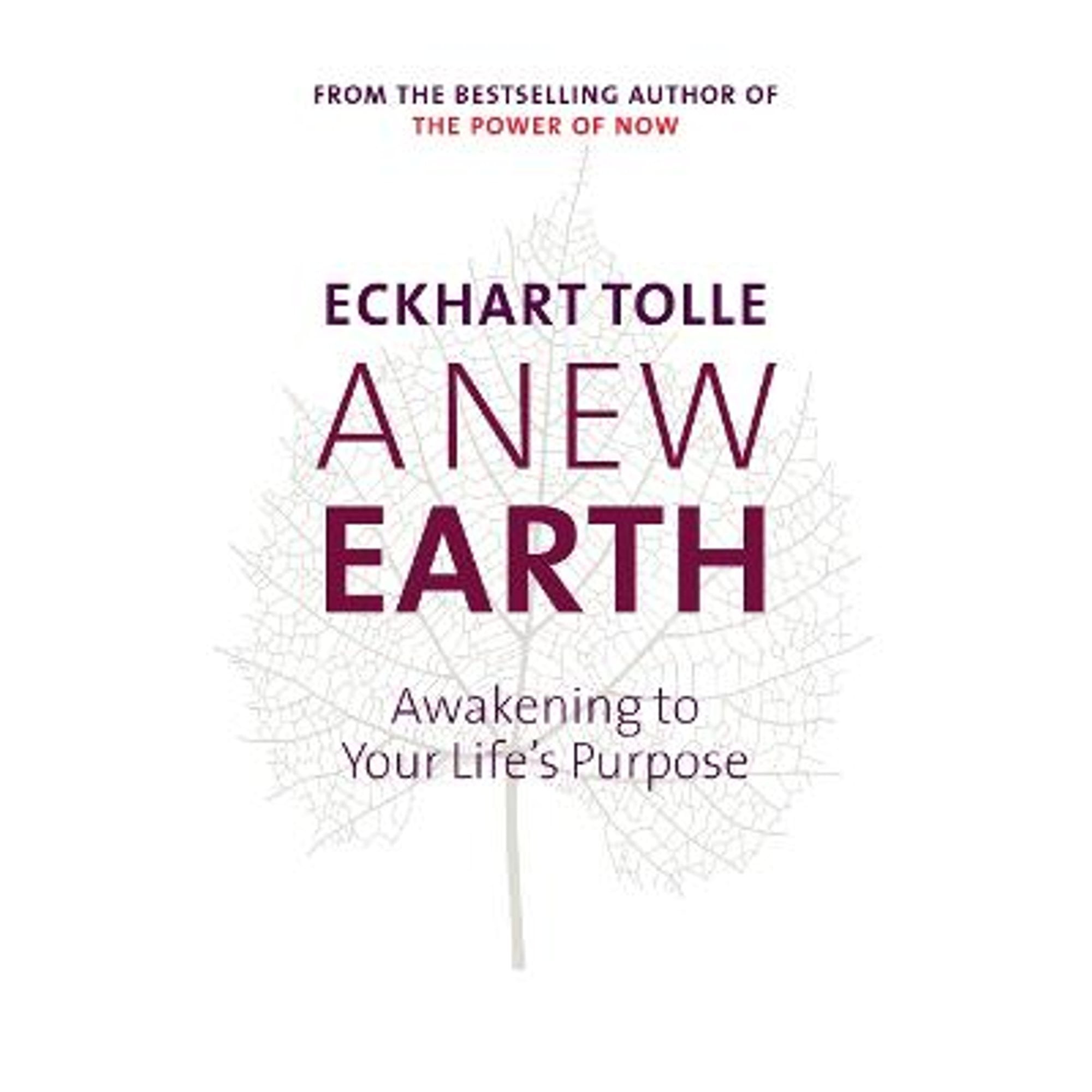 PreOwned A New Earth Awakening To Your Lifes Purpose Hardcover Eckhart Tolle