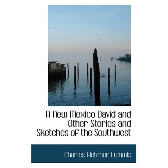 A New Mexico David and Other Stories and Sketches of the Southwest (Paperback)