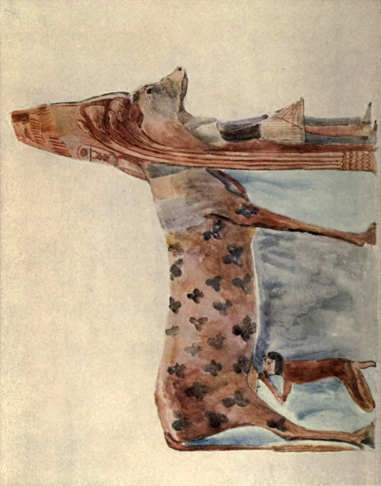 A Nile Journal 1908 Cow Canvas Art - Frances M Hornby (24 x 36)
