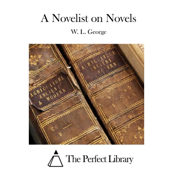 A Novelist on Novels (Paperback)