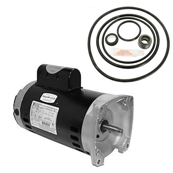 A. O. Smith Dyna-Max 2 HP 230V Replacement Motor Kit