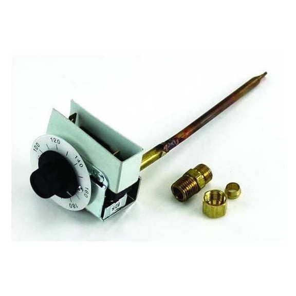 A.O. Smith Thermostat 100110071