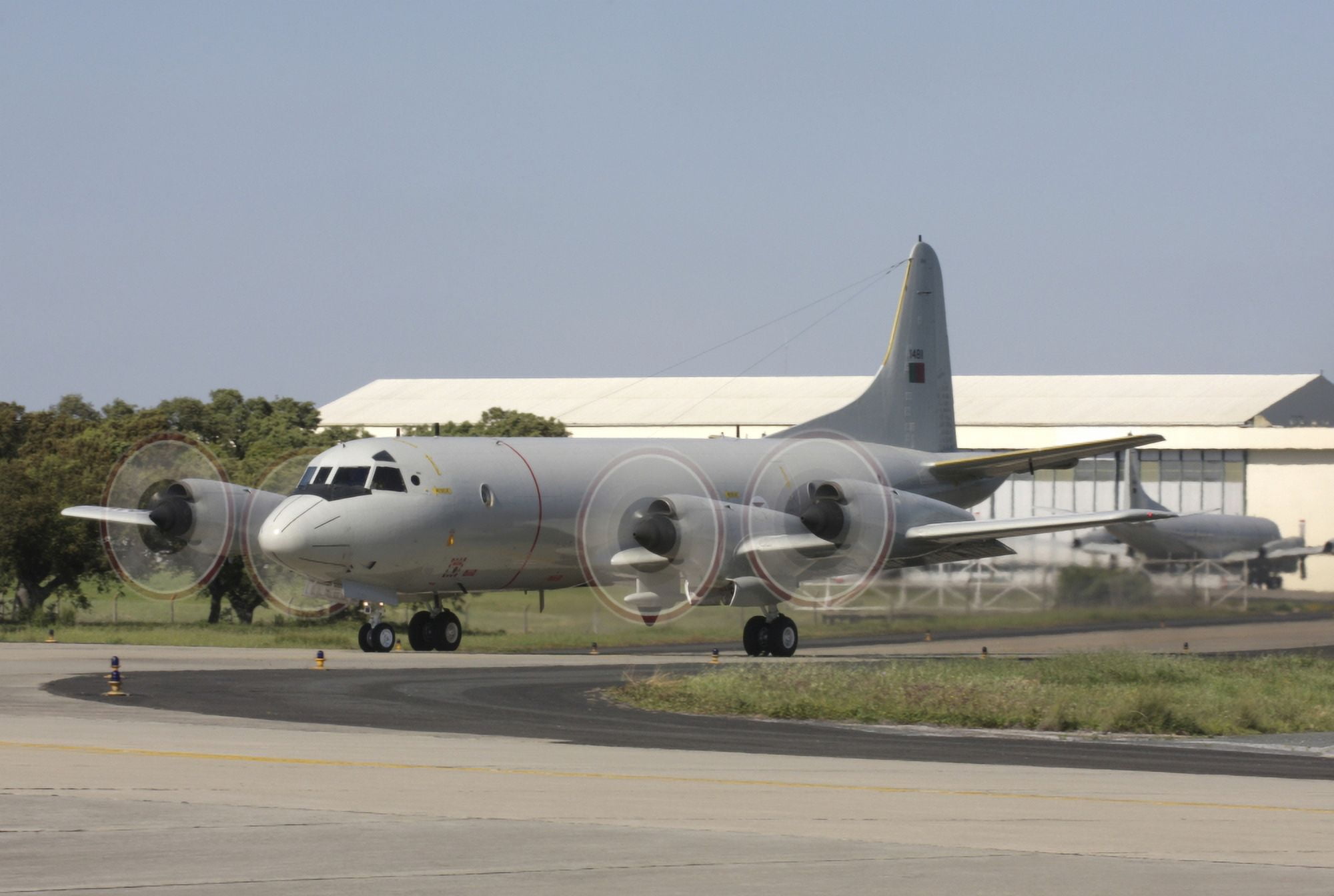 A P-3C Orion of the Portuguese Air Force Canvas Art - Timm ZiegenthalerStocktrek Images (35 x 23)