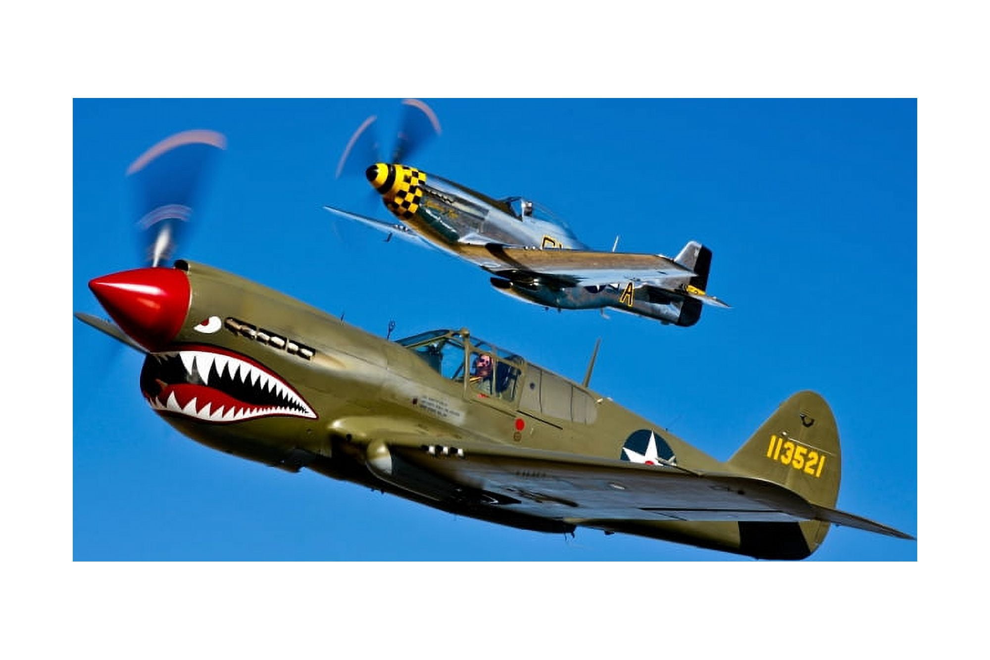 A P-40E Warhawk and a P-51D Mustang Kimberly Kaye in flight Canvas Art - Scott GermainStocktrek Images (35 x 23)
