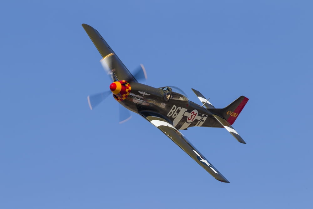 A P-51 Mustang flies by at Stead Field Nevada Canvas Art - Rob EdgcumbeStocktrek Images (34 x 23)