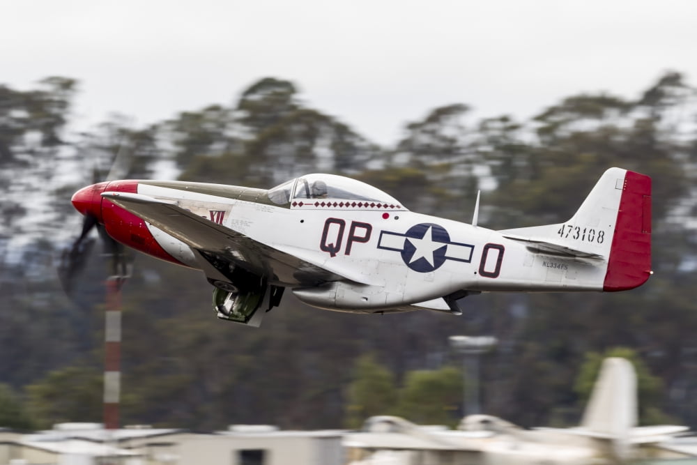 A P-51 Mustang takes off from Santa Rosa California Canvas Art - Rob EdgcumbeStocktrek Images (17 x 12)