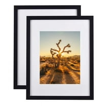 A PLUS MAX 16x20 Picture Frames for Wall Black Poster Frame 16x20 Matted to 11x14 or 16x20 without Mat, Polystyrene Glass for Wall Hanging Photo Frame, 2 Pack Value Set