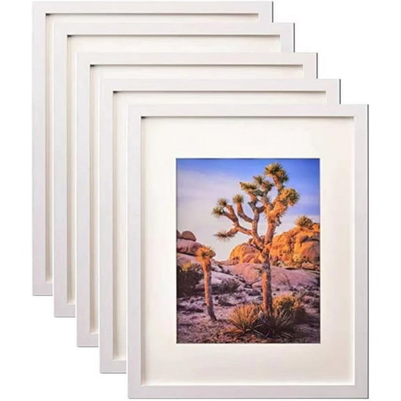 A PLUS MAX White 20x24 Picture Frame  with Polished Plexiglass - Horizontal and Vertical Formats with Included Hanging Hardware-5 Sets.