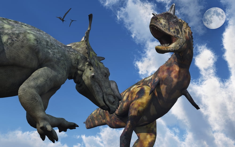 A Pachyrhinosaurus confronting a Carnotaurus Canvas Art - Mark StevensonStocktrek Images (18 x 12)