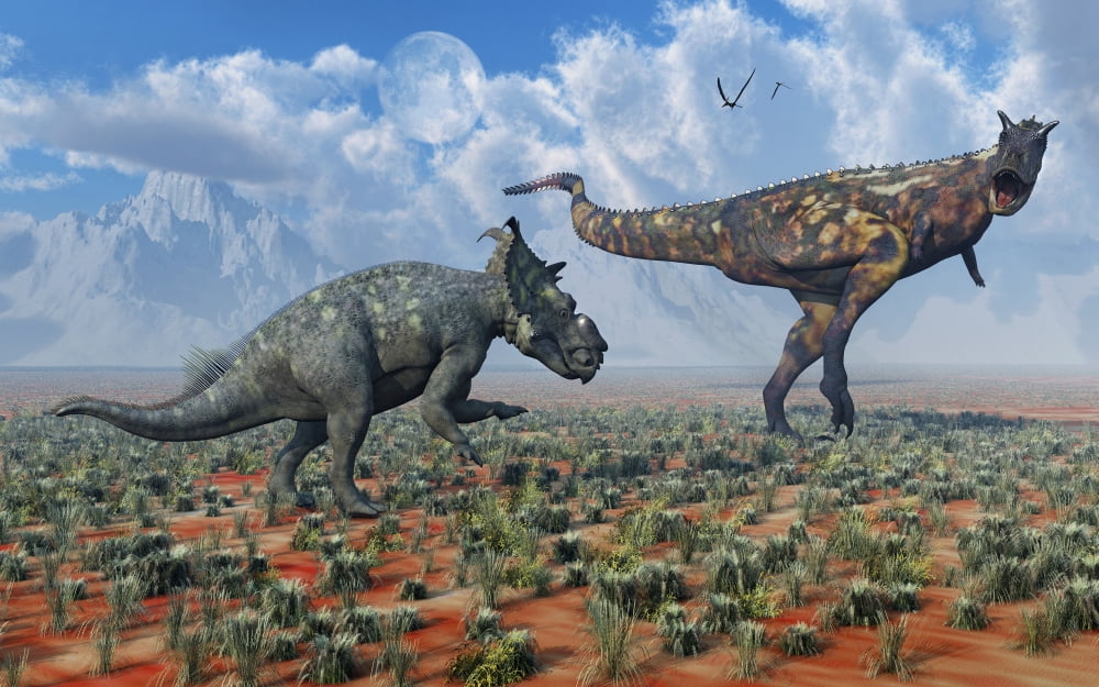 A Pachyrhinosaurus confronting a Carnotaurus Canvas Art - Mark StevensonStocktrek Images (18 x 12)