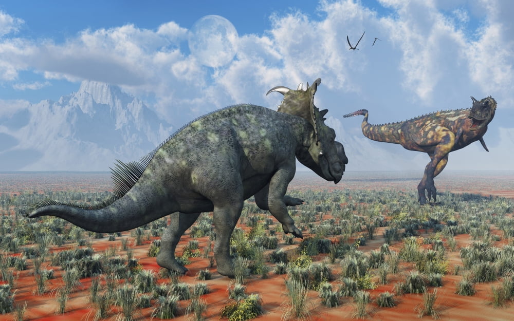 A Pachyrhinosaurus confronting a Carnotaurus Canvas Art - Mark StevensonStocktrek Images (36 x 23)